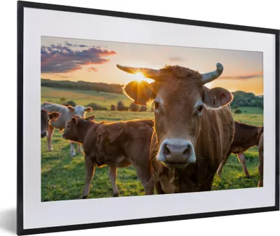 Produktbild von MuchoWow® Gerahmtes Poster Kühe - Sonne - Wiese - Landleben 60x40 cm - Poster mit Schwarzem Bilderrahmen Wandposter Rahmen Foto Bilder - Schlafzimmer - Plakat in Rahmen - Drucken