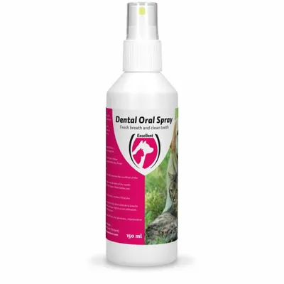 Produktbild von Dental Oral Spray