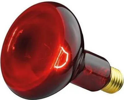 Produktbild von Náhradní lampa Beurer 100 W od společnosti Philips pro infračervenou lampu