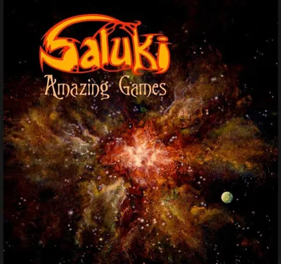 Immagine prodotto di Saluki - Giochi incredibili (LP)