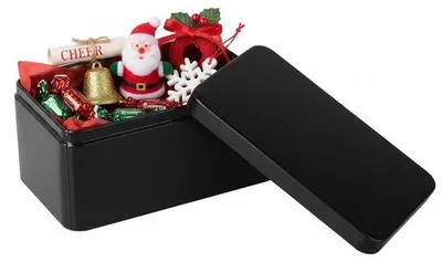 Zdjęcie produktu dla Metalowe, prostokątne pojemniki - lekkie i poręczne - 13x8x6 cm - z metalową pokrywą - metalowe pojemniki do przechowywania