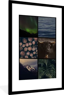 Produktbild von MuchoWow® MuchoWow® Gerahmtes Poster Schottische Hochlandrind - Collage - Pflanzen - Holz 60x90 cm - Poster mit zchwarzem Bilderrahmen - Dekoration - Wandposter Wohnzimmer - Hochwertig