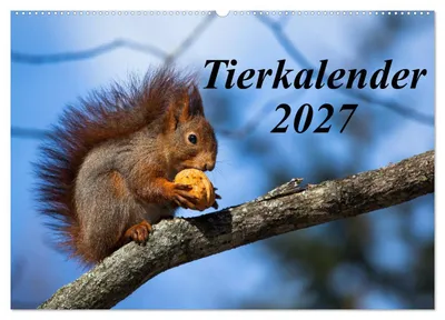 Produktbild von Tierkalender 2027 (Wandkalender 2027 DIN A2 quer), CALVENDO Monatskalender