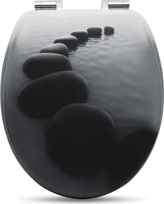 A toilet seat with a printed image of stepping stones in water.
