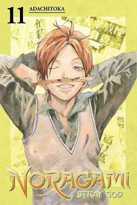 Produktbild von Noragami Volume 11