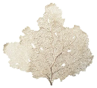 Produktbild von Telleruntersetzer „Goldener Baum“ – 6er-Set