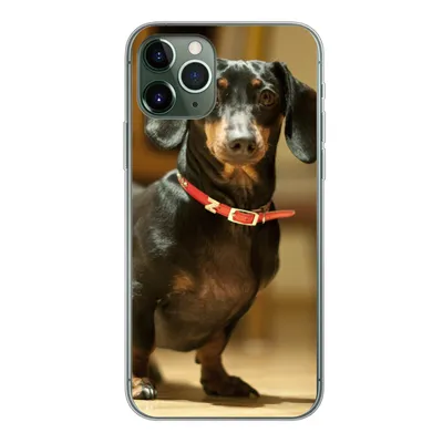 Produktbild von MuchoWow® Handyhülle Schutzhülle Hülle für iPhone 11 Pro Porträt eines schwarzen Dackels Silikon Softcase Handy Hülle - Handy