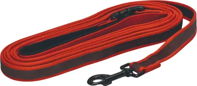 Produktbild von Beeztees Suchleine - Nylon - Rot - 5M