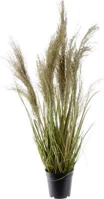 Produktbild von Kaemingk künstliche Graspflanze mit Federn im Topf 85 cm