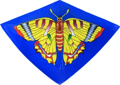 Obrázek produktu pro Létající drak 110 x 71 cm
