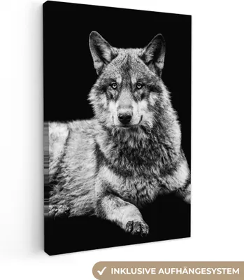 Obrázek produktu pro OneMillionCanvasses® - Plátno - Divoká zvěř - Vlk - Černá - Bílá, nástěnná malba, nástěnné dekorace obrazy obývací pokoj, 80x120cm