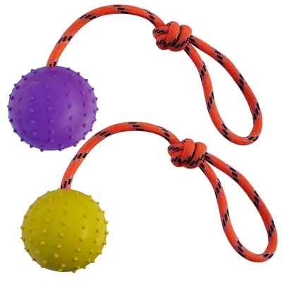 Image de 2 balles attachées à une corde pour l'entraînement des chiens