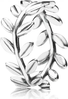 Produktbild von Pandora Silberen Ring mit Blätter, 52, 190922-52