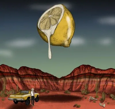 Produktbild von Love out of Lemons