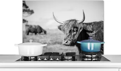 Obrázek produktu pro KitchenYeah® Kitchen splashback - Kuchyňský splashback - Ochrana stěny sporáku a dřezu - Skotský náhorní skot - Zvířata - Černá - Bílá 90x60 - Alu-Dibond (alternativa ke skleněnému splashbacku) - Hitz