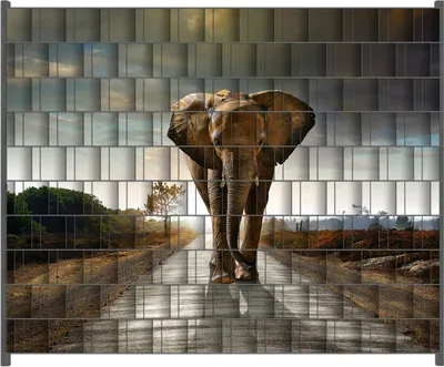 Produktbild von Wallario Zaunsichtschutz mit Motiv Elefant bei Sonnenaufgang in Afrika für Ein- und Doppelstabmatten Zäune in der Größe 250 x 200 cm