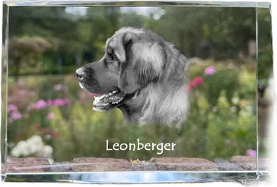 Produktbild von Leonberger - Kristall mit einem Hundebild, Bild im Glas, moderne Ausstellung des Art-Dog-Bildes.