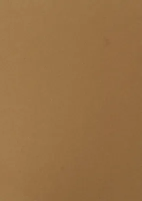 Produktbild von pavo Einbanddeckel ECO DIN A4 sand