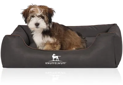 Produktbild von Knuffelwuff Hundebett Scottsdale aus Kunstleder M-L 85 x 63cm Schwarz