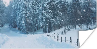 Produktbild von MuchoWow® Poster Wald - Schnee - Winter 80x40 cm - Wanddeko