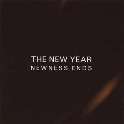 Produktbild von New Year,The-Newness Ends