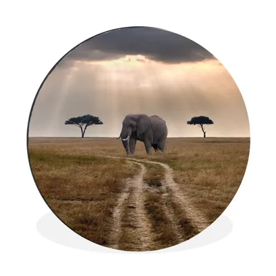 Produktbild von MuchoWow® Aluminium Wandkreis Elefant - Tiere - Wiese - Sonne Ø 60 cm Wanddeko Modern Wohnzimmer - Wand Kreis - Wandbild - Schlafzimmer - Aluminium Bild - Kinderzimmer - Wohnzimmer Dekoration - Wandschmuck