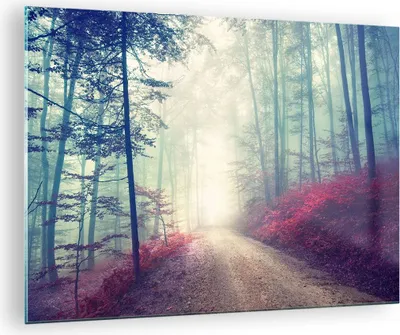 Produktbild von Bilder auf glas - Wald Baum Natur - 70x50cm - Glasbilder - Wandbilder - Kunstdruck - zum Aufhängen bereit - Wanddekoration aus Glas - Glas Bilder - Wandbild auf Glas - Einteilig - GAA70x50-3667