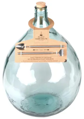 Image de Kit de démarrage pour plante en terrarium en verre et inox - 35L - D 39,9 x H 55,5 cm