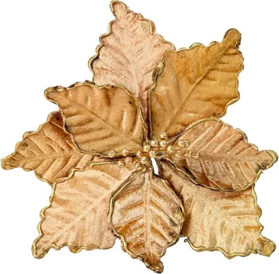 Image de Étoile de Bethléem Fleur Étoile de Noël Pour Arbre de Noël Grand Sur Plume Roseau