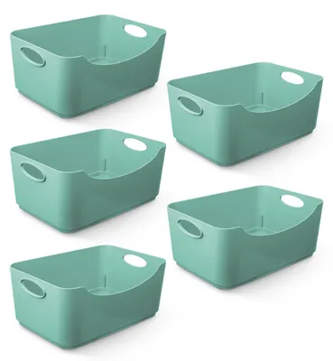 Imagen del producto de Caja de almacenamiento de plástico, color , 25,5 x 17 x 11 cm, juego de 5 unidades, para organizar