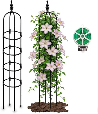 Image de Support métallique en forme de U, 180 cm, avec fil de jardin pour plantes grimpantes