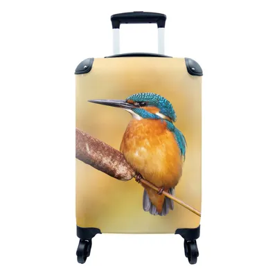 Produktbild von MuchoWow® Koffer Handgepäck Trolley Rollkoffer Kleine Reisekoffer mit 4 Rollen - Eisvogel - Natur - Vogel - Cabin Size < 55x40x23 cm & 55x40x20 cm - Fotokoffer - Kabinenkoffer - Boardgepäck - Reise-Box - Reisekoffer - Reisegepäck - Koffer mit Bild - Trolley für Kinder