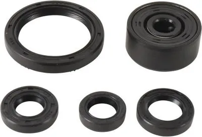 Obrázek produktu pro Sada motorových těsnění WINDEROSA W822377