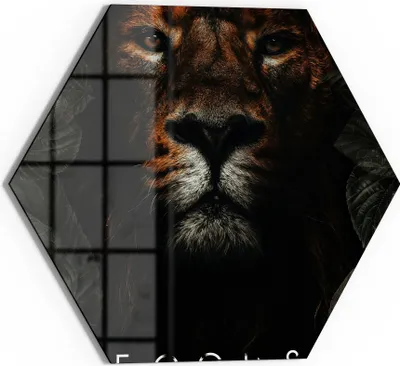 Produktbild von DEQOART Glasbild Echtglas 55x48 cm 'Königlicher Fokus' Wandbild Bild modern Deko