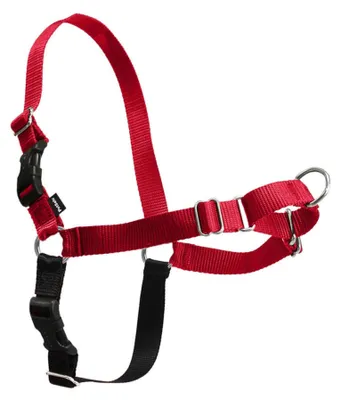 Produktbild von PetSafe Easy Walk Hundegeschirr