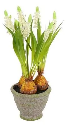 Obrázek produktu pro Umělá květina v květináči, modřence bílé, výška 28 cm