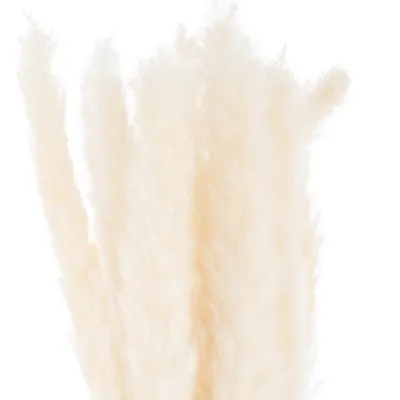 Immagine prodotto di Hill Interiors - Pianta secca, erba della pampa confezione da 15 pezzi HI4382 (taglia unica) (bianco)