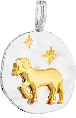 Produktbild von NKlaus 17mm Kettenanhänger Sternzeichen Steinbock 925 Silber Zodiac gold weiß Amulett 13980