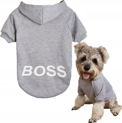 Zdjęcie produktu dla PETSTORY bluza z kapturem dla psa/kota XS, szara, "BOSS"