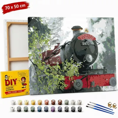 Obrázok produktu pre Obraz na maľovanie podľa čísel s rámom „Express do Rokfortu“ 70 x 50 cm