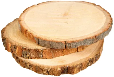 Holzscheiben mit Rinde, 3 Stück, 10-12 cm, Natur