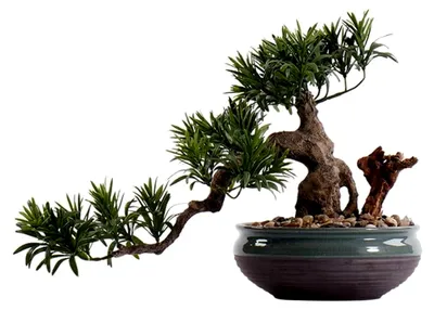 Produktbild von Künstliche Bonsai Pflanze 43 cm Dekoration für Zuhause und Büro
