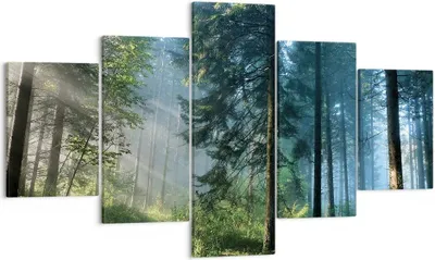 Produktbild von Bild auf Leinwand - Leinwandbild - 5 Teile - Wald Dämmerung die Sonne - 125x70cm - Wand Bild - Wanddeko - Wandbilder - Leinwanddruck - Bilder - Wanddekoration - Leinwand bilder - EA125x70-4398