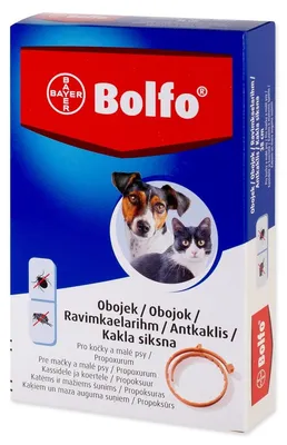 Produktbild von Bolfo Halsband gegen Parasiten für Katze und kleinen Hund 38cm!