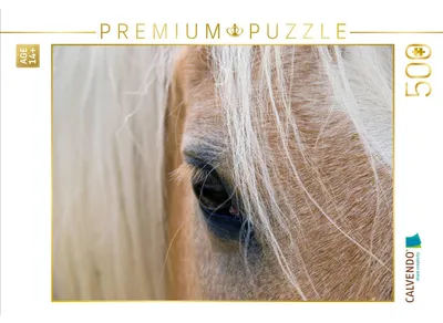 Produktbild von CALVENDO Puzzle Haflingerportrait | 500 Teile Lege-Größe 48 × 36 cm Foto-Puzzle für Erwachsene