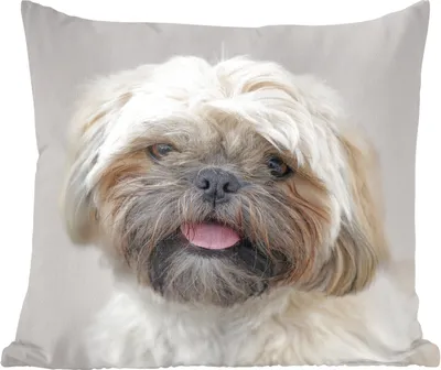 Produktbild von MuchoWow® Zierkissen Sofakissen Wohnzimmer Dekokissen 50x50 cm Portrait Nahaufnahme eines Shih Tzu Hundes - Komfort - Sofakissen