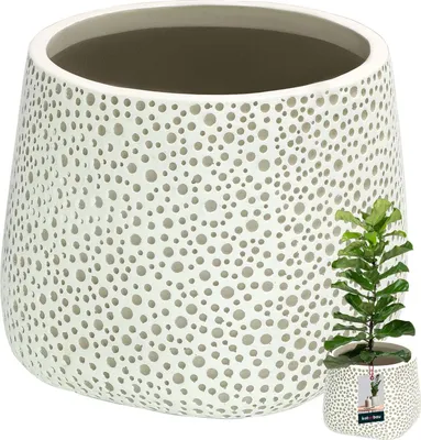 Produktbild von KOTARBAU® Blumenübertopf Keramik unglasiert Mattes Finish Grau bauchig ⌀ 15 cm | H 16 cm 1 St. Blumenübertöpfe Übertöpfe für Zimmerpflanzen Keramik Blumentopf gross Keramik Blumentopf modern