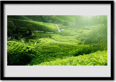Produktbild von Bild 70x50 MDF-Rahmen Wandkunst Wiese Natur