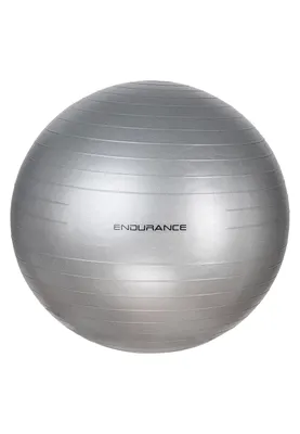 Immagine prodotto di Palla da ginnastica ENDURANCE con diametro di 65 cm 8889 argento Taglia unica