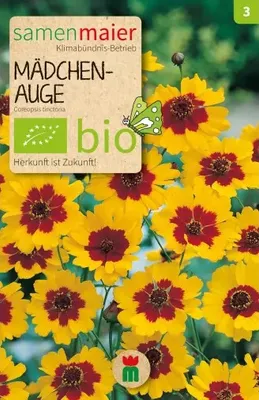 Produktbild von Samen Maier -  Mädchenauge - 1Tüte